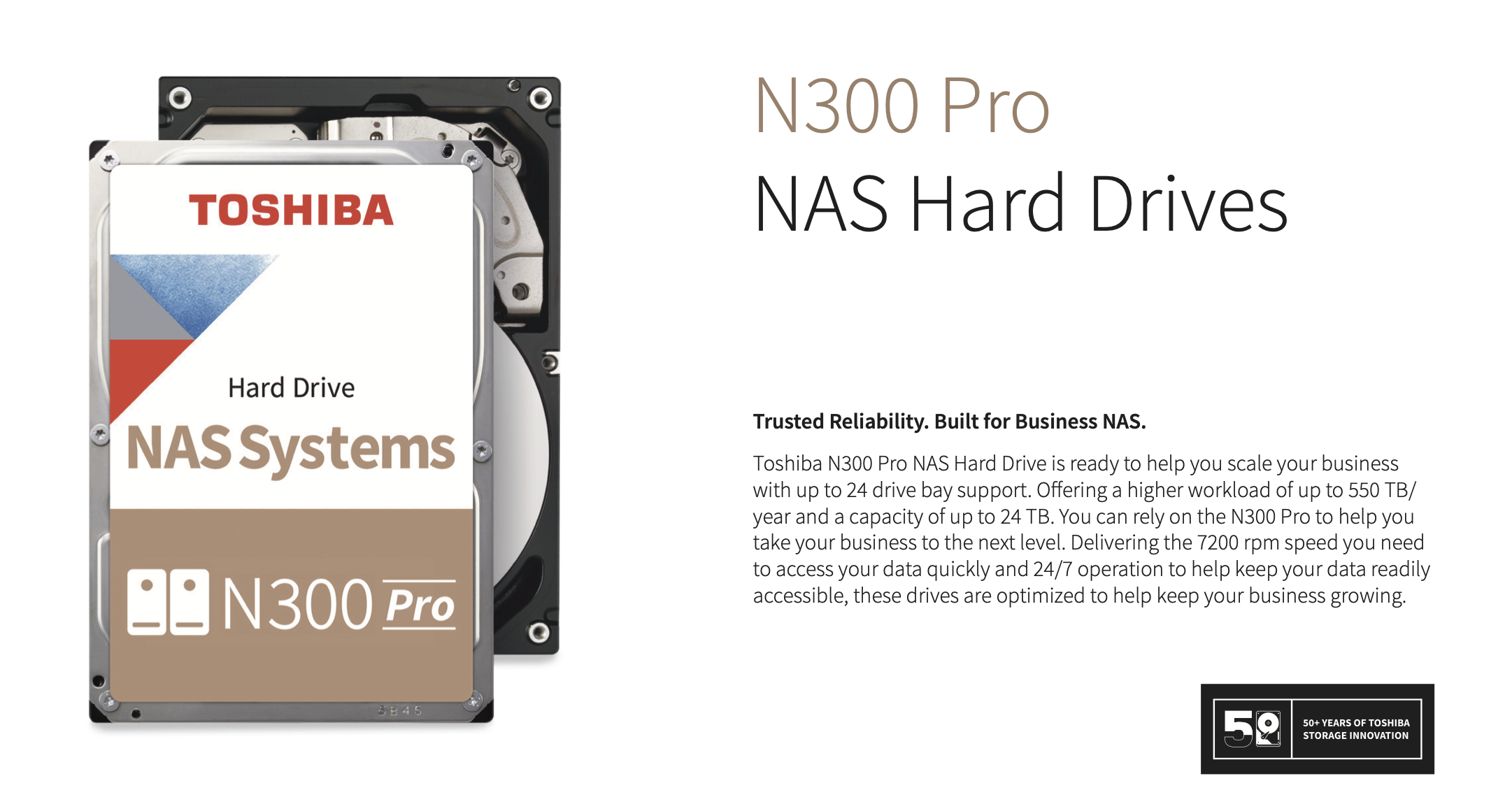 Toshiba 4tb n300 pro 