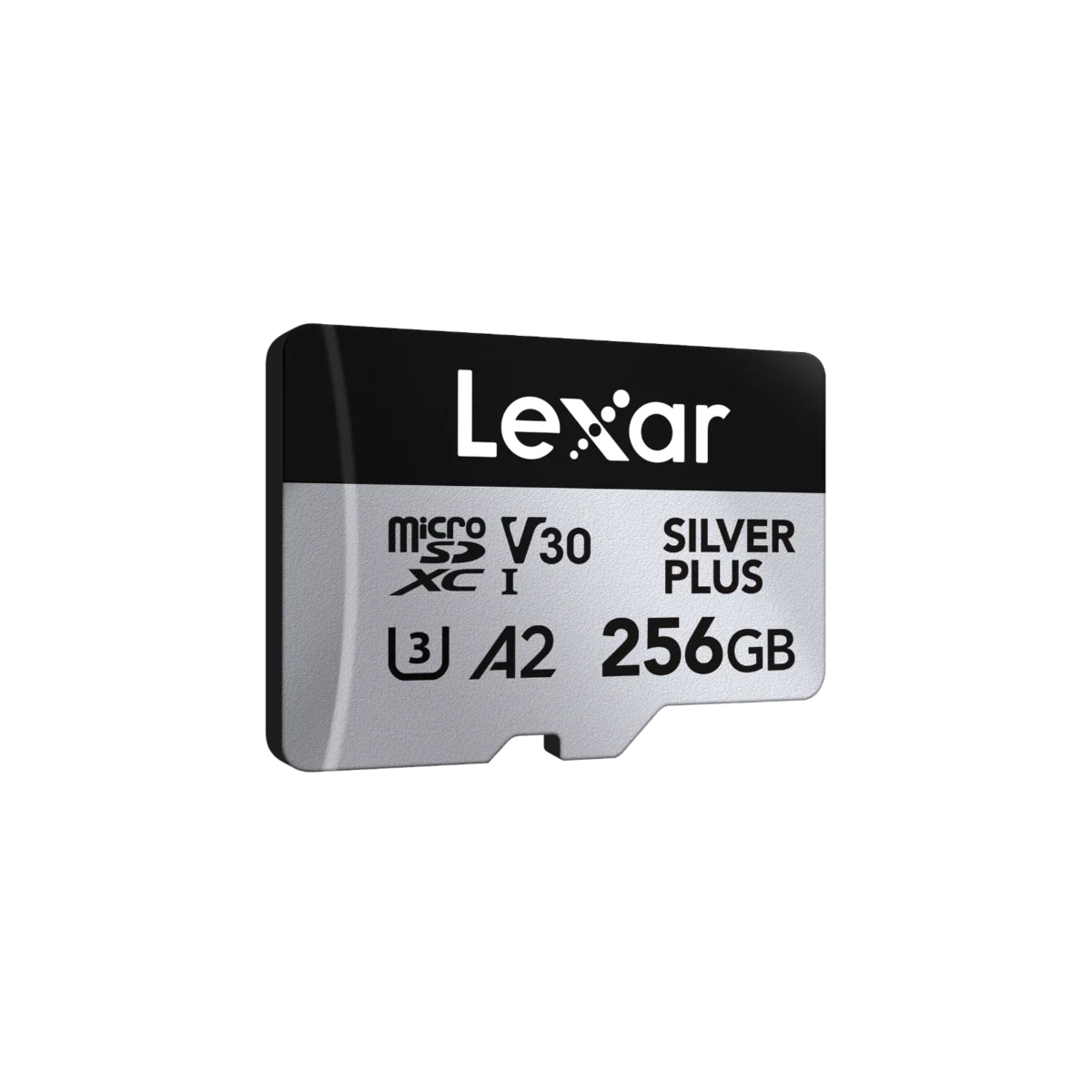 Lexar 256GB SILVER PLUS