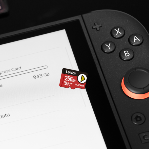 LEXAR 256GB PLAY PRO