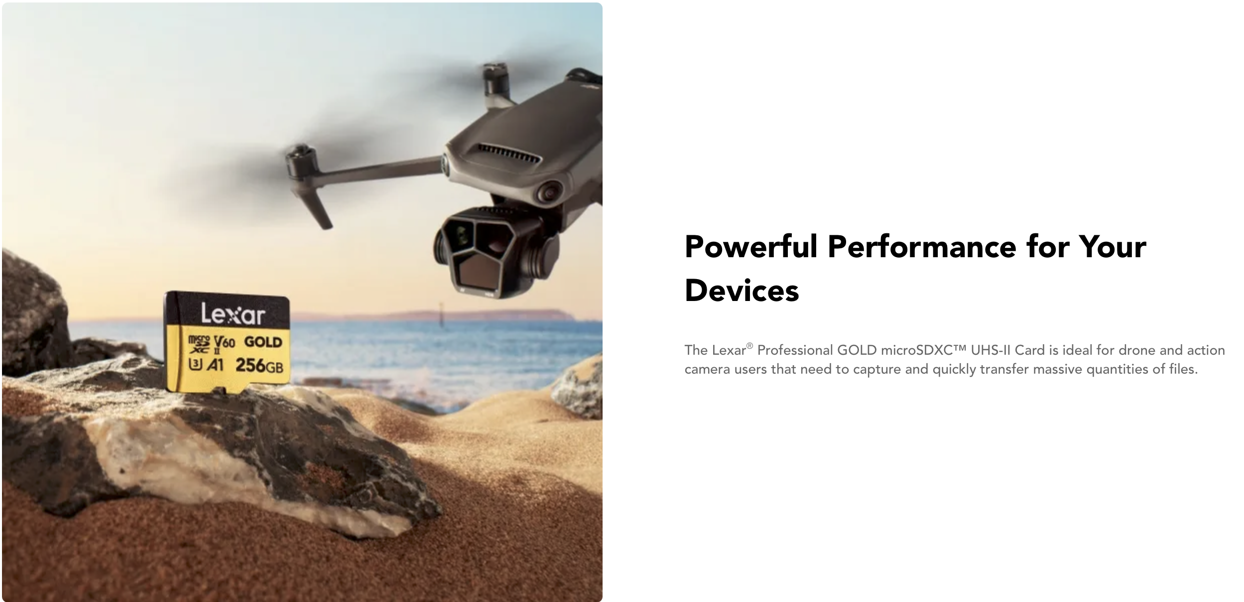 lexar professional gold 