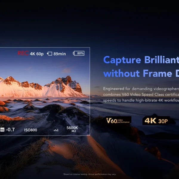 Lexar 64GB Professional SILVER PRO