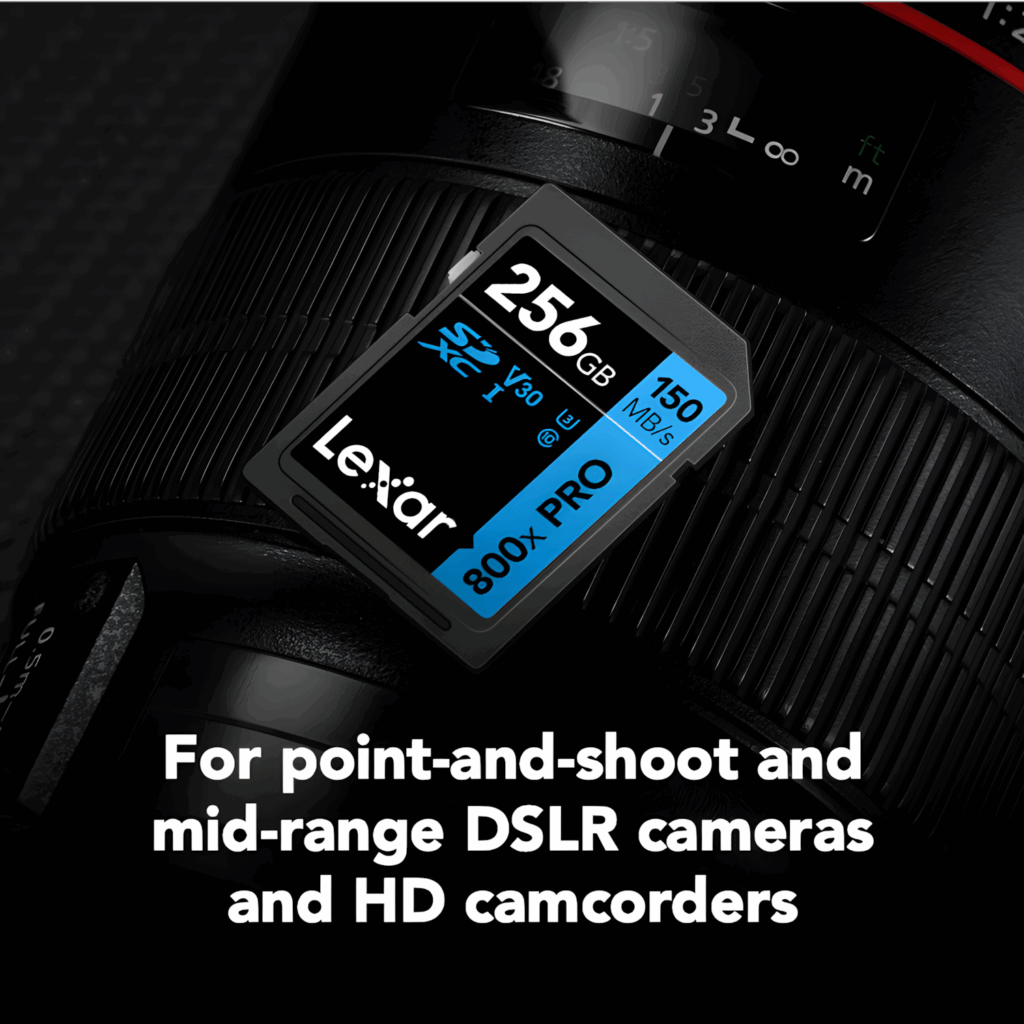 Lexar 256GB High-Performance 800x PRO