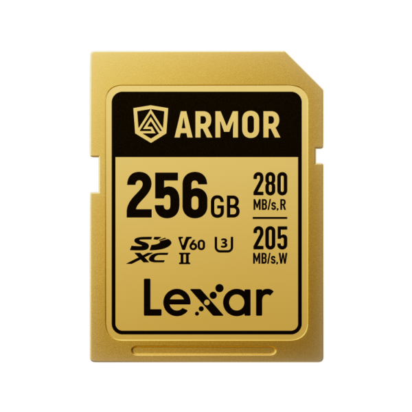 Lexar 256GB ARMOR GOLD