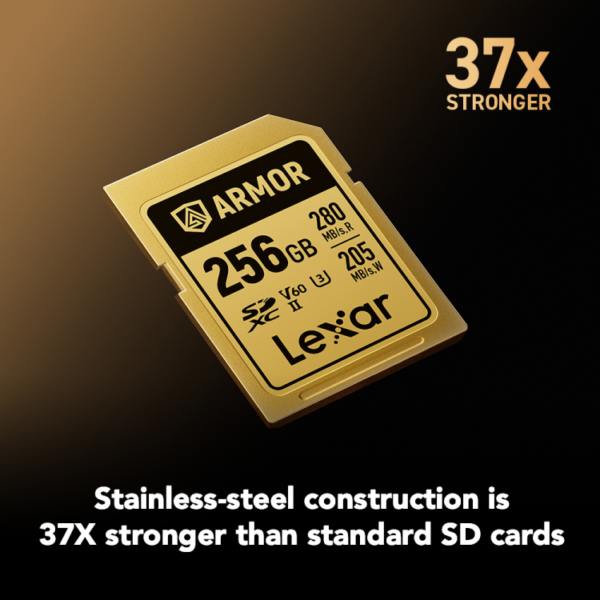 Lexar 256GB ARMOR GOLD