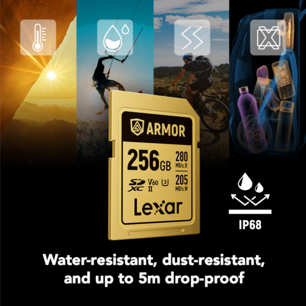 Lexar 256GB ARMOR GOLD