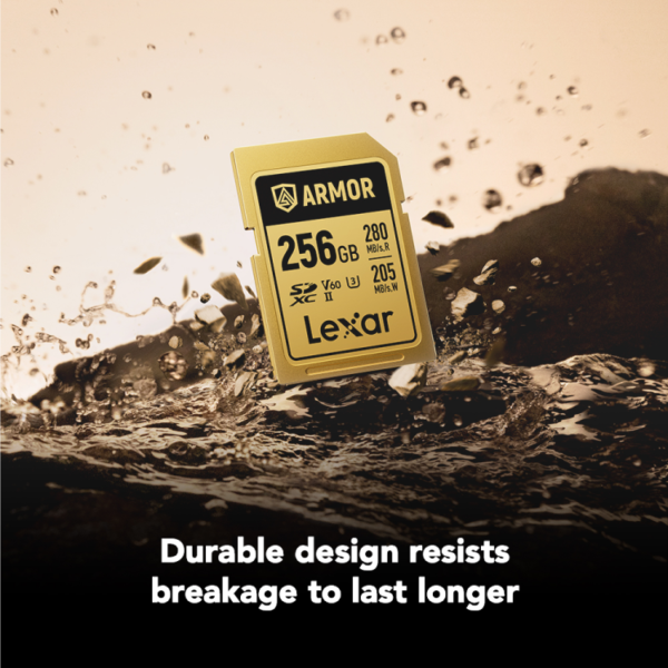 Lexar 256GB ARMOR GOLD