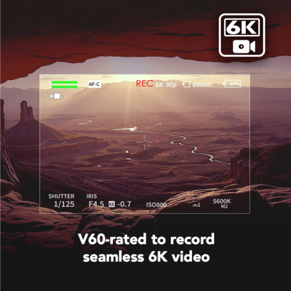 Lexar 256GB ARMOR GOLD