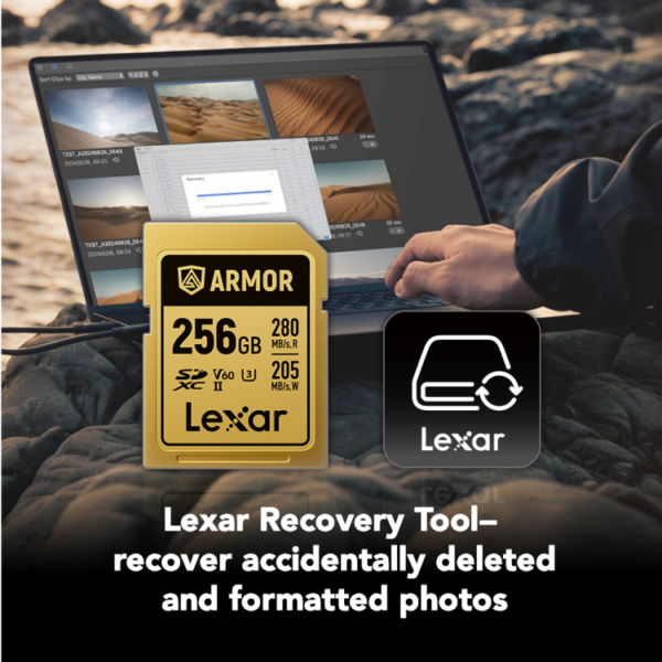 Lexar 256GB ARMOR GOLD