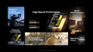 Lexar 128GB Professional 2000x