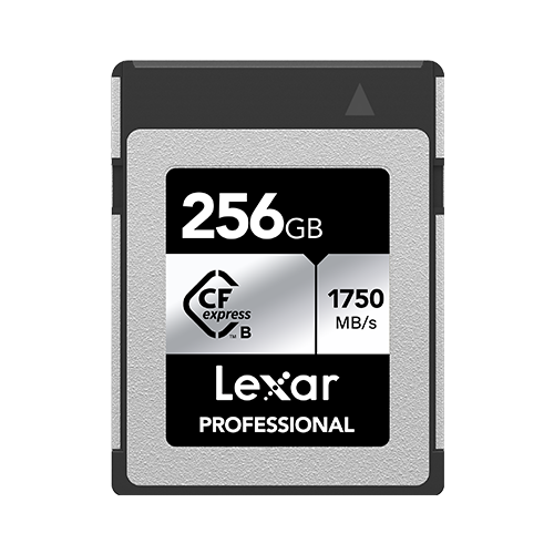 Lexar 256GB CFexpress Type B SILVER