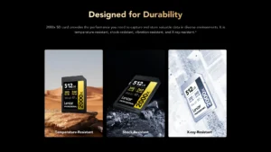 Lexar 512GB Professional 2000x 