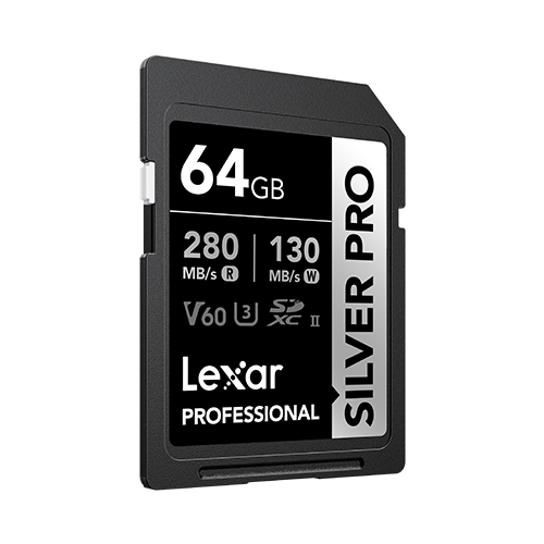 Lexar 64GB Professional SILVER PRO