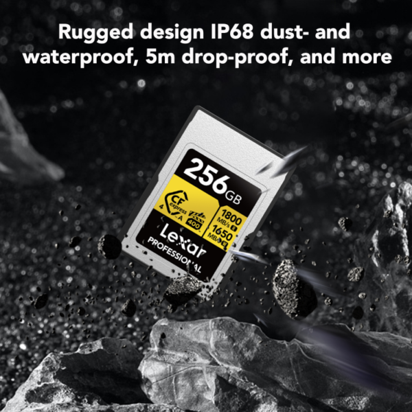 Lexar 256GB CFexpress 4.0 Type A GOLD