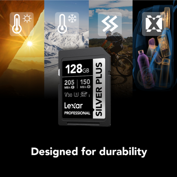 Lexar 128GB Professional silver plus