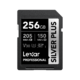 Lexar 256gb professional silver plus