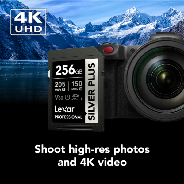 Lexar 256gb professional silver plus