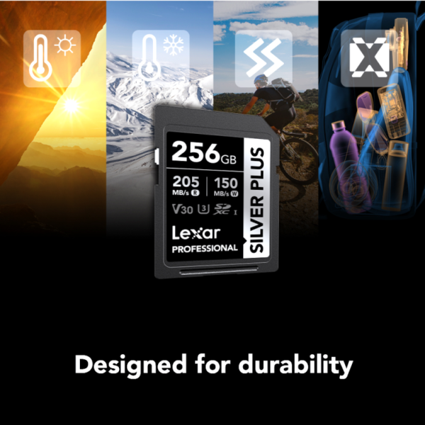 Lexar 256gb professional silver plus