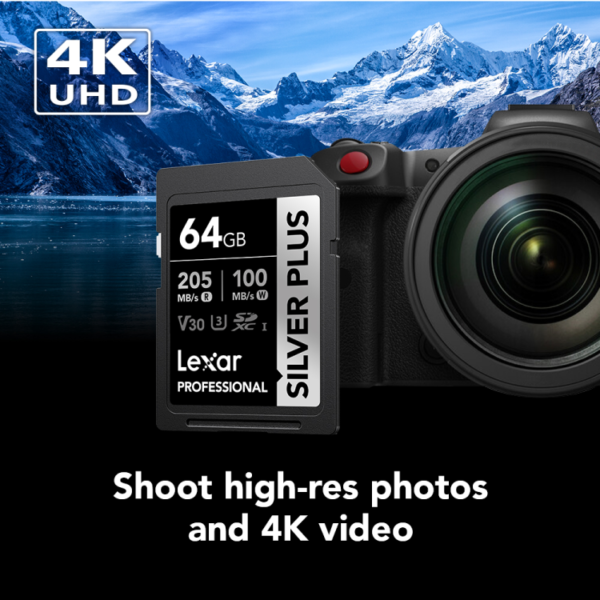 Lexar 64GB Professional silver plus