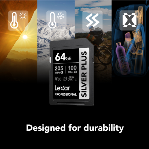 Lexar 64GB Professional silver plus