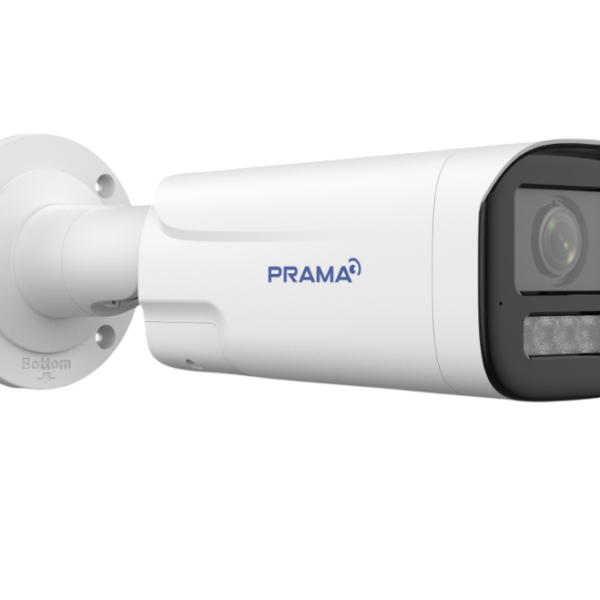 PT-NC146D3-WNRAM(D2)