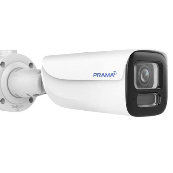 PT-NC366P3-WNRAM(D2)