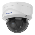 PT-NC367P1-WNRAM(D2)