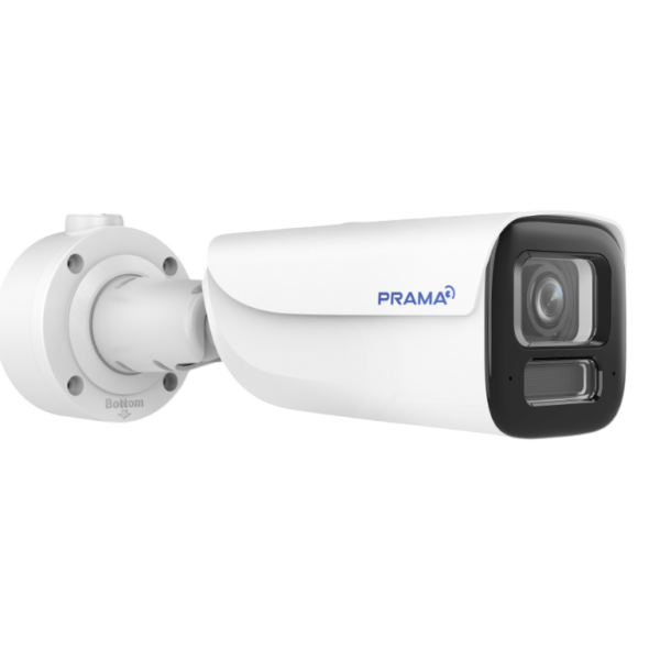 PT-NC386P3-WNRAM(D2)