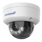 PT-NC321P1-WNAMS(D2)