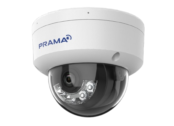 PT-NC321P1-WNAMS(D2)