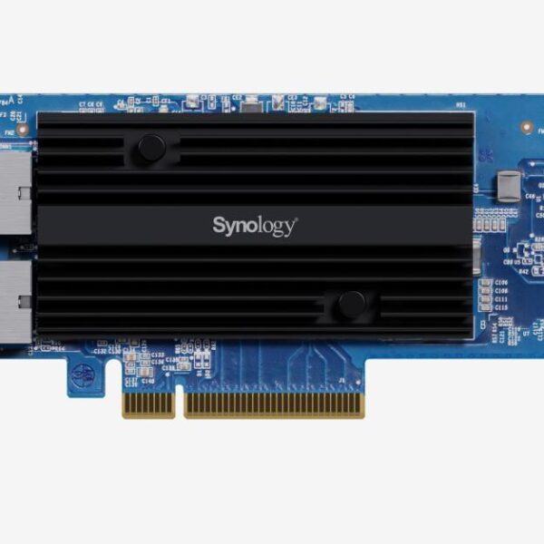 Synology E10G30-T2