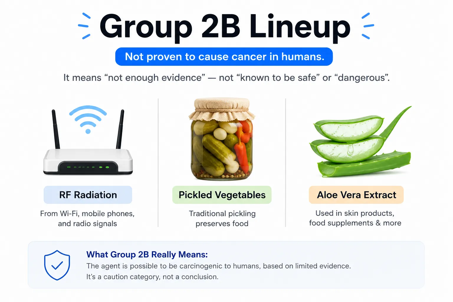 Group 2B linedup including a wifi router